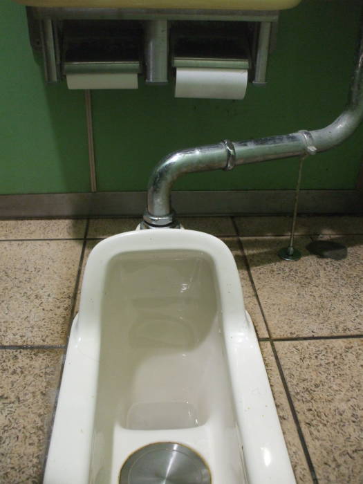 Dual-flush squat toilet at Kamakura train station.