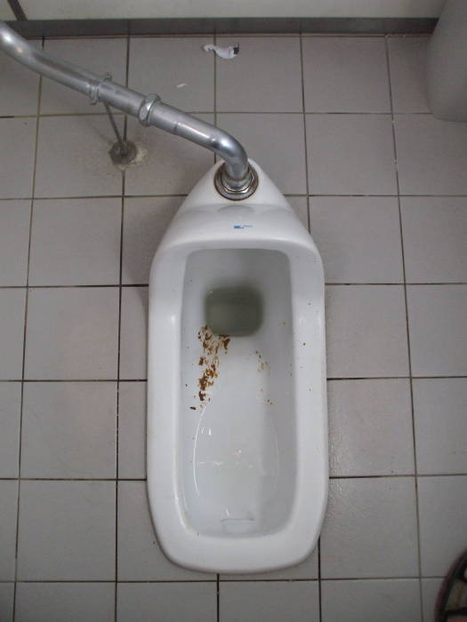 Dual-flush squat toilet at the Heian-jingu shrine in Kyōto.