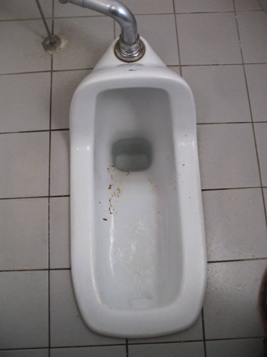 Dual-flush squat toilet at the Heian-jingu shrine in Kyōto.