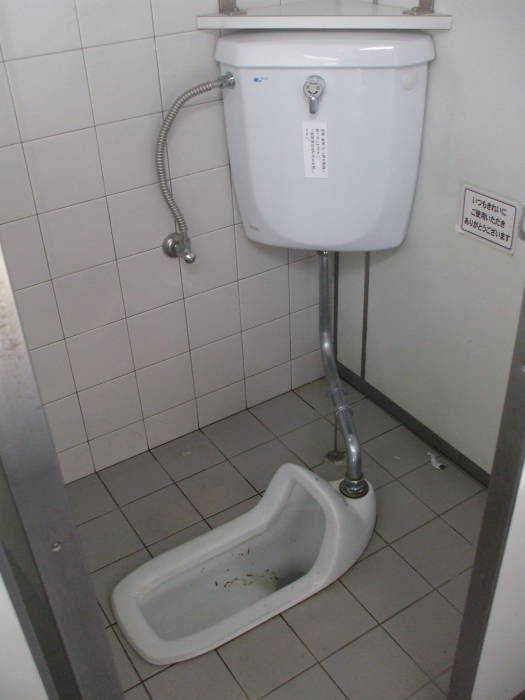 Dual-flush squat toilet at the Heian-jingu shrine in Kyōto.