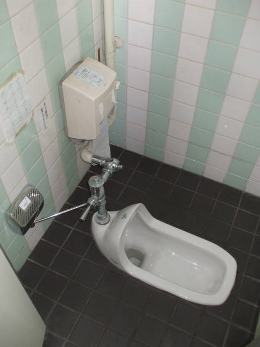 Pipe pressure flushing squat toilet at Kosho-ji Buddhist temple in Kyōto.