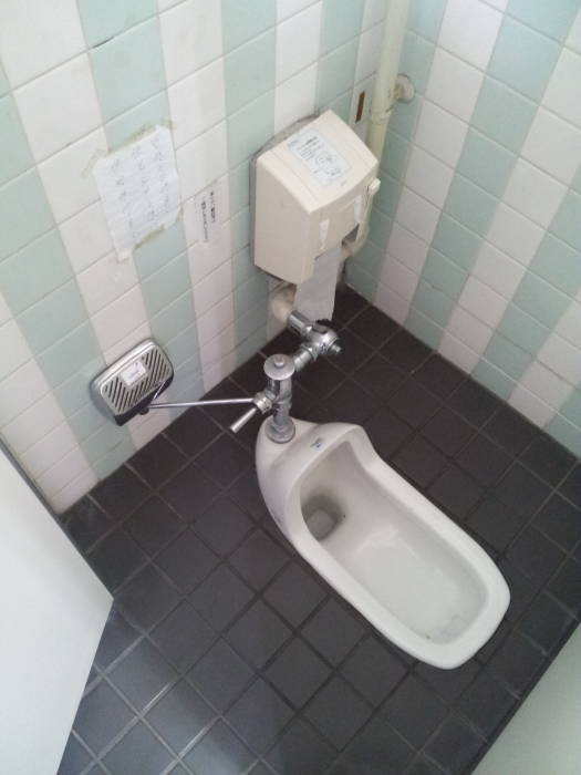 Squat toilet at Kosho-ji Buddhist temple in Kyōto, Japan.