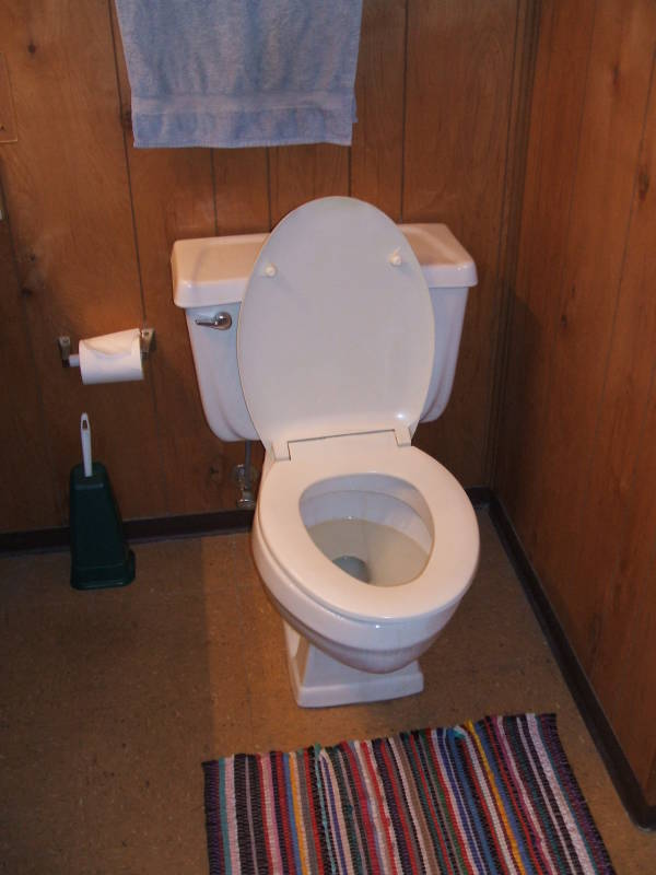 Skanky American toilet in West Lafayette, Indiana.