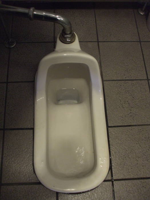 Squat toilet at a pub in Nara.