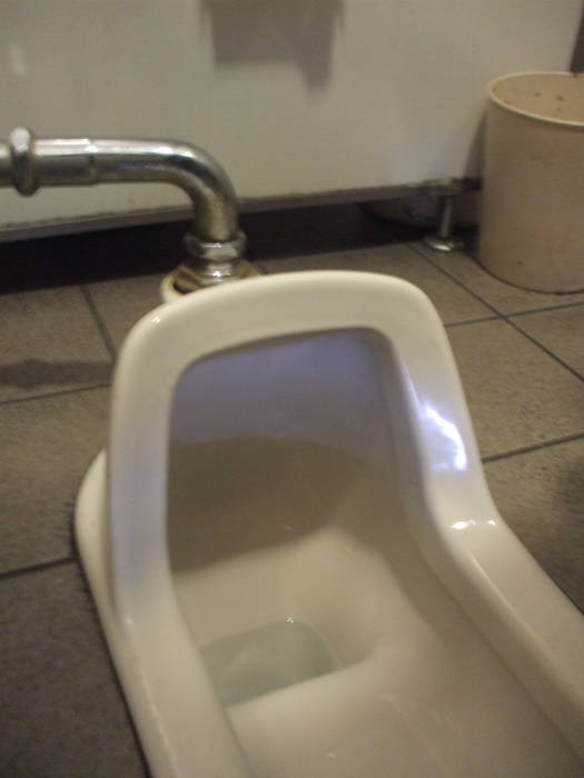 Squat toilet at a pub in Nara.