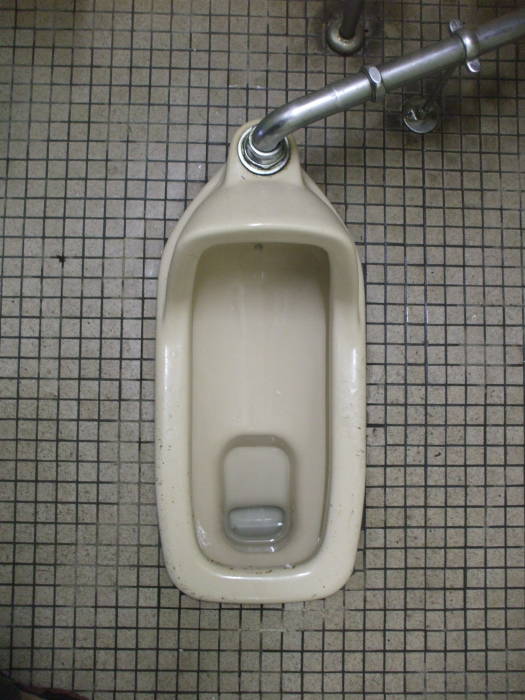 Front squat toilet at Rinno-ji Buddhist temple in Nikko.