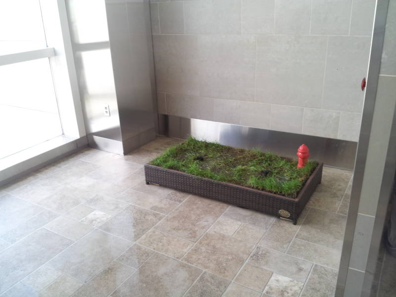 Service animal and pet relief area at Detroit airport.