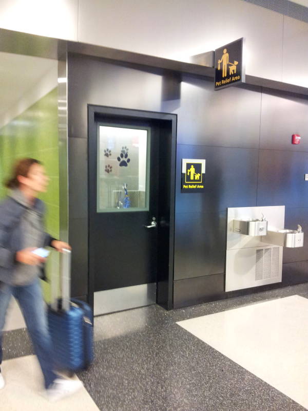 Service animal and pet relief area at New York JFK airport.