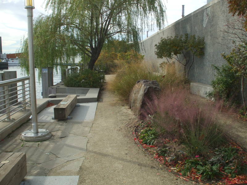 Nature walk along Whale Creek inlet off Newtown Creek.