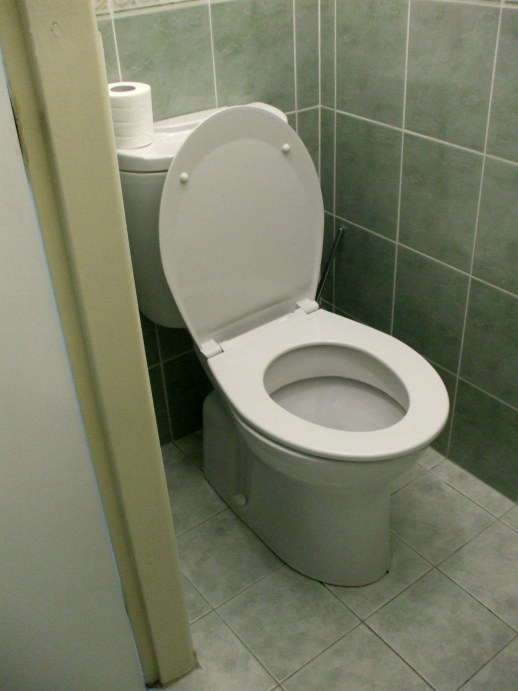 Toilet in Hotel Anna in Prague, Czech Republic.