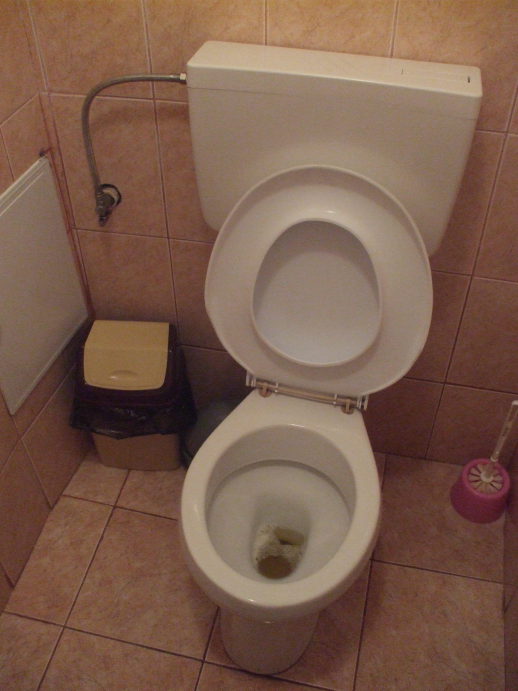 Toilet in a restaurant in Bistriţa, Romania.