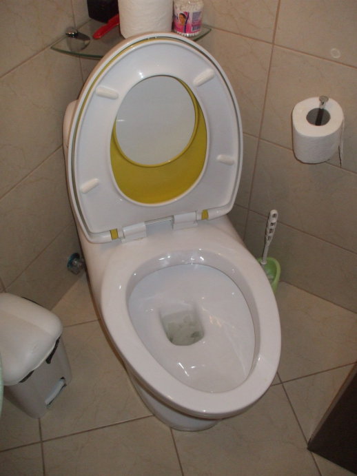 Toilet with two sizes of seats.  Lid and both seats up.