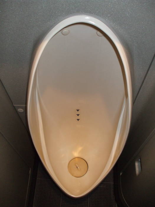 Urinal on board the Tōkaidō Shinkansen bullet train from Osaka to Tokyo.