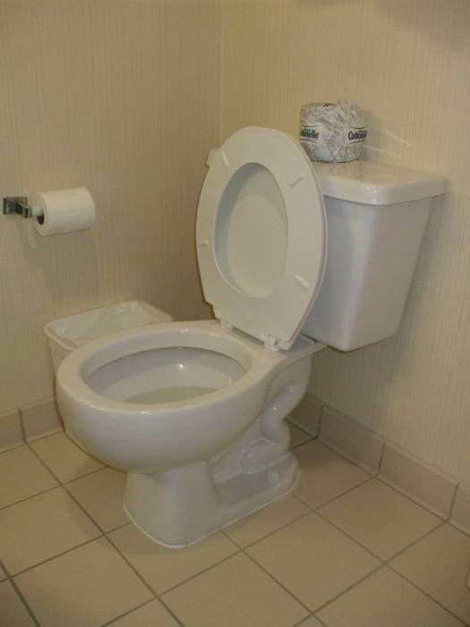 Hotel toilet.