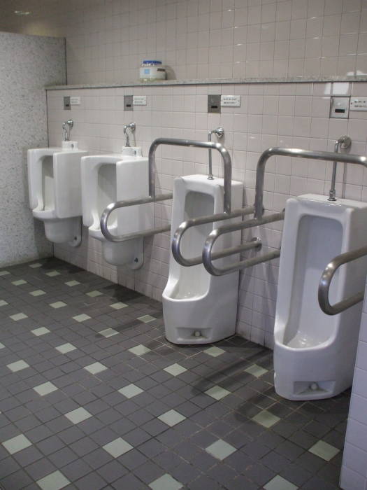 Squat toilet at the Imperial Palace in Tokyo.