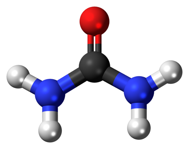 Urea molecule, from https://commons.wikimedia.org/wiki/File:Urea_3D_ball.png.