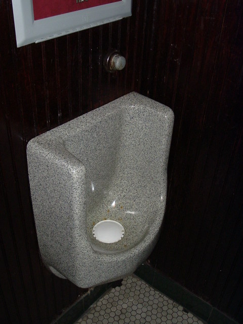 Waterless urinal in Atlanta, Georgia.