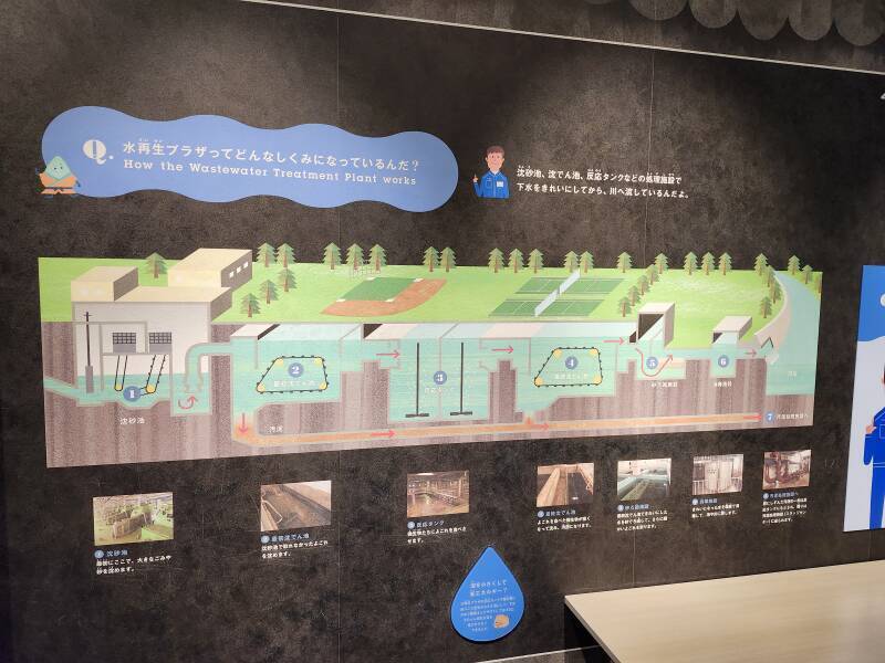 Overview of wastewater processing.