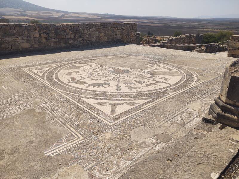 Mosaic of wild animals next to the large basin in the House of Orpheus at Volubilis.